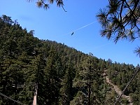 Ziplines and sky bridges