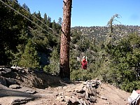 Ziplining in Wrightwood