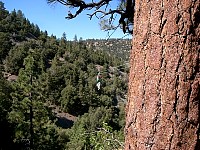 Ziplining in Wrightwood