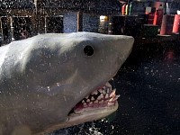 Jaws animatronics