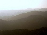 Griffith Park view