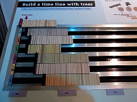 Dendrochronology