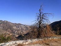 San Gabriel Mountains