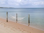 Tropical ocean hammock