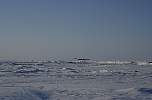 Twin Otter taking off at Barneo Base