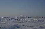 Twin Otter taking off at Barneo Base