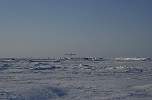 Twin Otter taking off at Barneo Base