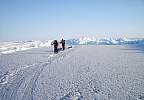 Skiing along the lead