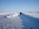 Skiing along the lead