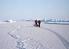 Skiing along the lead