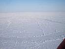 Polar ice seen from helicopter