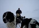 Ready to drive the sledge