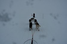 Snowy day