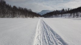 Dogsledding near Langfjordbotn