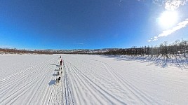 Dogsledding on Karasjohka river with 360 degree camera