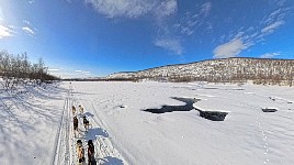Dogsledding on Karasjohka river with 360 degree camera