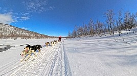 Dogsledding on Karasjohka river with 360 degree camera
