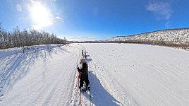 Dogsledding on Karasjohka river with 360 degree camera