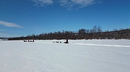 Dogsledding on Karasjohka river