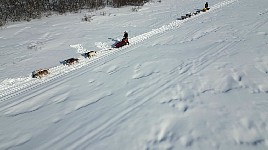Dogsledding on Karasjohka river