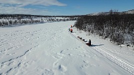 Dogsledding on Karasjohka river