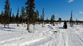 Snowmobiling in northern Sweden
