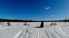 Sunny day snowmobiling