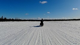 Snowmobiling in northern Sweden