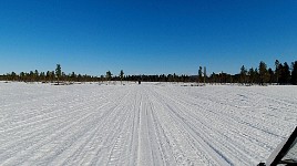 Sunny day snowmobiling