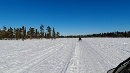 Snowmobiling in northern Sweden