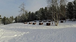Company cabin camp doghouses