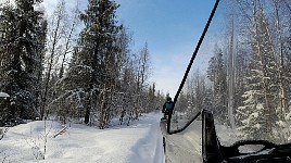 Snowmobile on forest trails