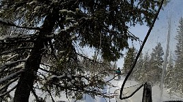 Snowmobile close but not touching the tree
