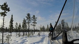 Snowmobile on forest trail