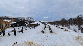 Kirkenes dog houses