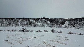 Traces of straw