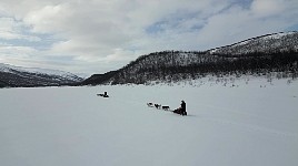 Dogsled up Karasjohka river