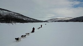 Dogsled up Karasjohka river