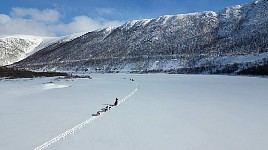 Dogsled up Karasjohka river in sunshine