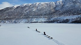 Dogsled up Karasjohka river in sunshine