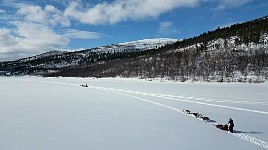Dogsled up Karasjohka river in t-shirt