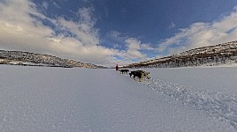 Dogsledding on Karasjohka river with 360 degree camera