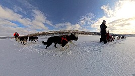 Dogsledding on Karasjohka river with 360 degree camera
