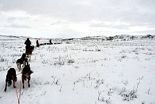 Tundra in snow