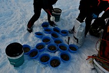 Filling the dog bowls