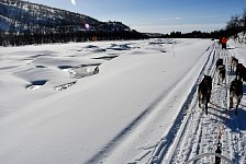 Dogsledding near open water on Karasjohka river