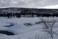 Dogsledding near open water on Karasjohka river
