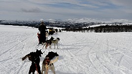 Towards Alta