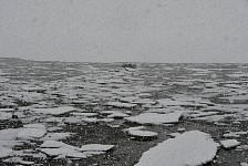 Snowy day near Langfjordbotn