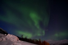 Northern lights at kennel